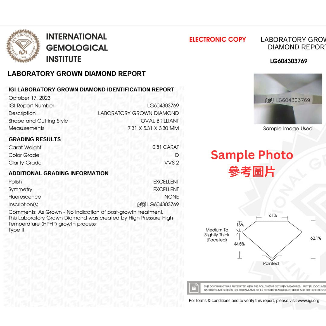 橢圓形光環培育鑽石鑽石耳環 - D-Only