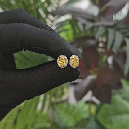 椭圆形光环培育钻石钻石耳环