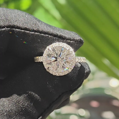 經典光環鑲嵌培育鑽石戒指